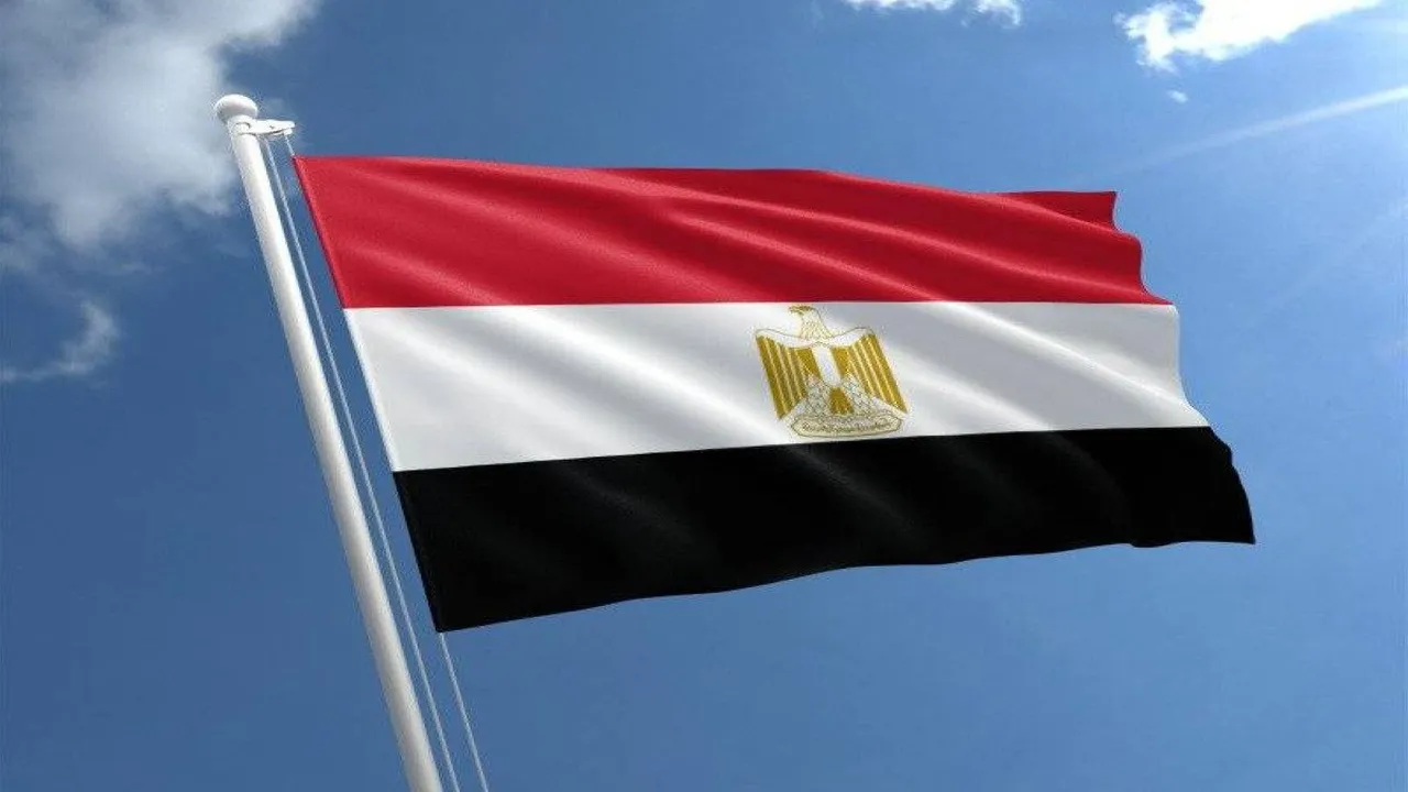 مصر تدين استهداف ناقلة نفط إماراتية في مياه مضيق هرمز الدولية